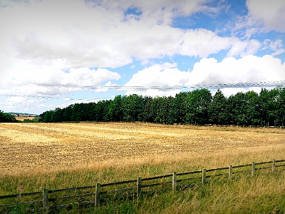 DSC01134  Scotland Countryside