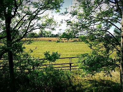 DSC01153  Scotland Countryside