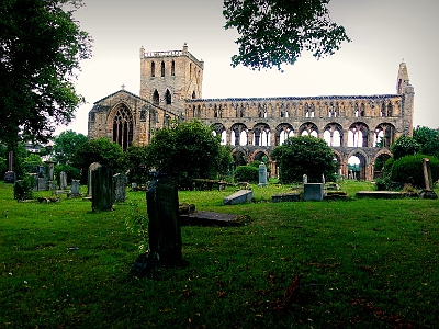 DSC01188  Jedburgh Abbey, Jedburgh, Scotland : Scotland, Jedburgh